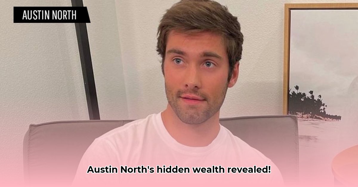austin-north-net-worth